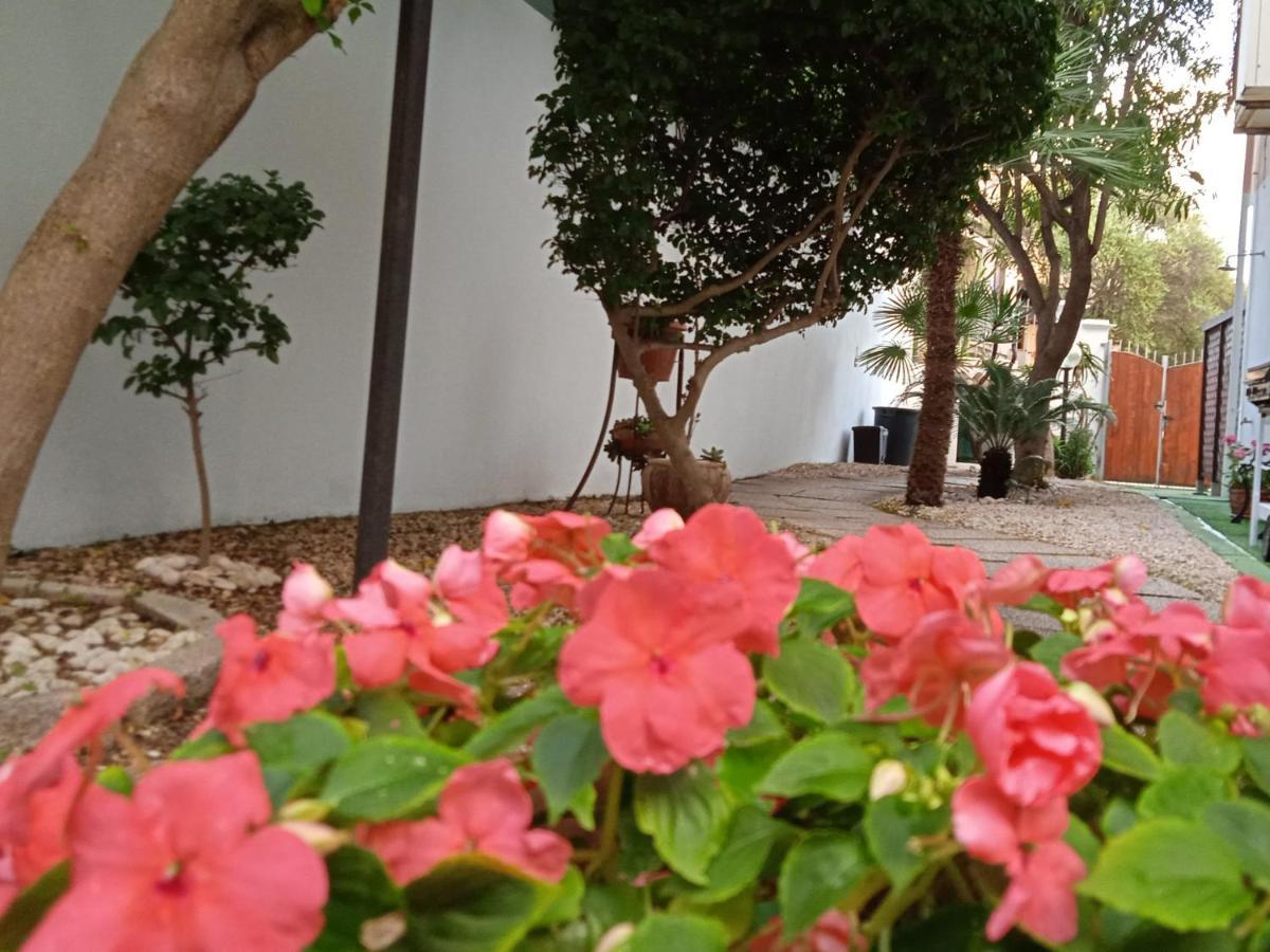 Guest House Oleandro Santa Maria Navarrese Exteriér fotografie