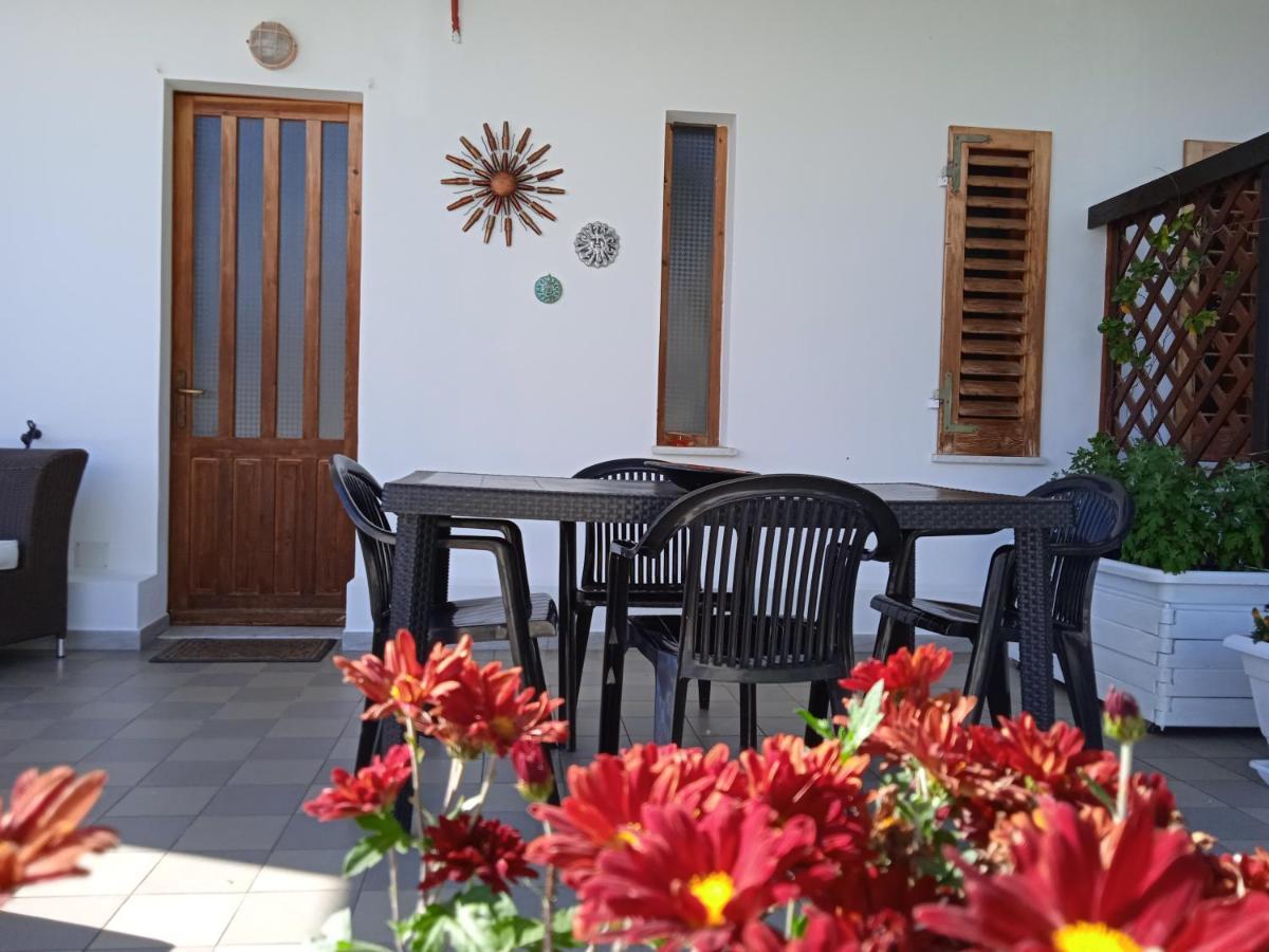 Guest House Oleandro Santa Maria Navarrese Exteriér fotografie