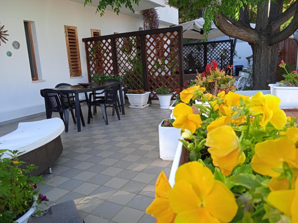 Guest House Oleandro Santa Maria Navarrese Exteriér fotografie