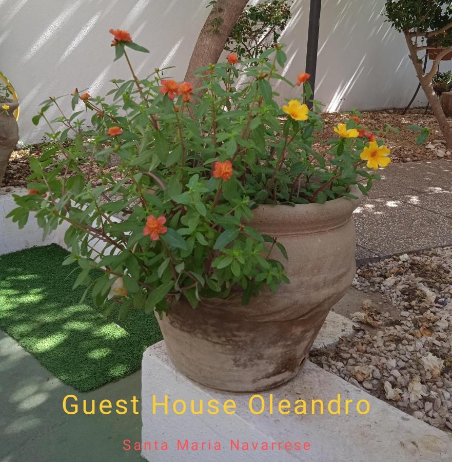 Guest House Oleandro Santa Maria Navarrese Exteriér fotografie